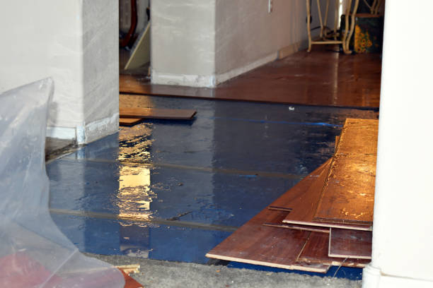 Professional Sewage Cleanup technician working in Remington, IN